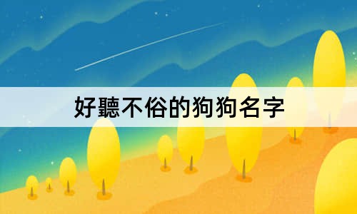 好聽不俗的狗狗名字 100個冷門且好聽的寵物名