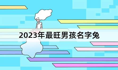 2023年最旺男孩名字兔