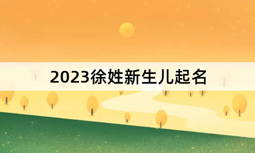 2023徐姓新生兒起名