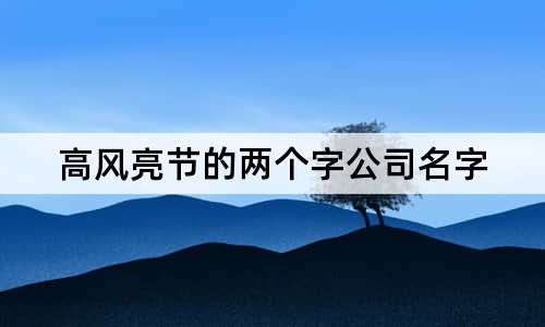 高風亮節(jié)的兩個字公司名字