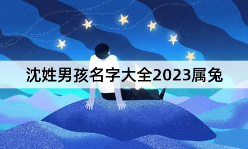 沈姓男孩名字大全2023屬兔