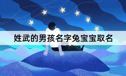 姓武的男孩名字兔寶寶取名