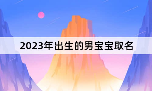 2023年出生的男寶寶取名