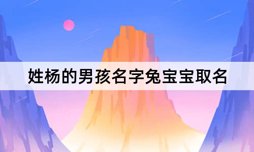 姓楊的男孩名字兔寶寶取名