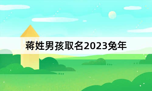 蔣姓男孩取名2023兔年