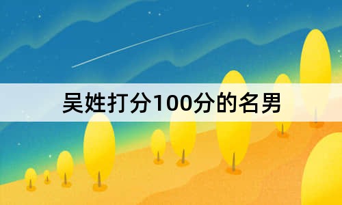 吳姓打分100分的名男