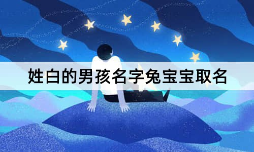 姓白的男孩名字兔寶寶取名